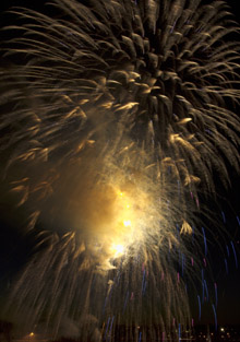 Fireworks Display
