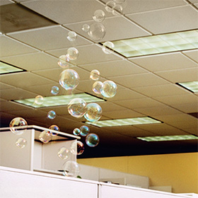 Big Brothers Big Sisters Tampa Bay: Bubbles