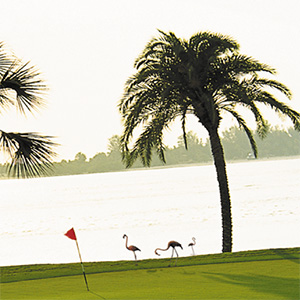 Visit Florida — Great Moments. Great Vacations.